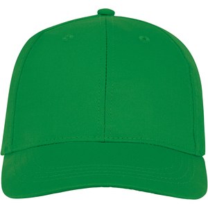 Elevate Essentials 38675 - Ares 6 panel cap Fern Green